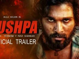 Pushpa Full Telugu Movie Download in Hindi Dubbed