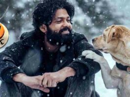 777 Charlie Full Movie Download in Hindi
